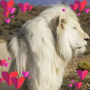 Meet your Posher, Marty